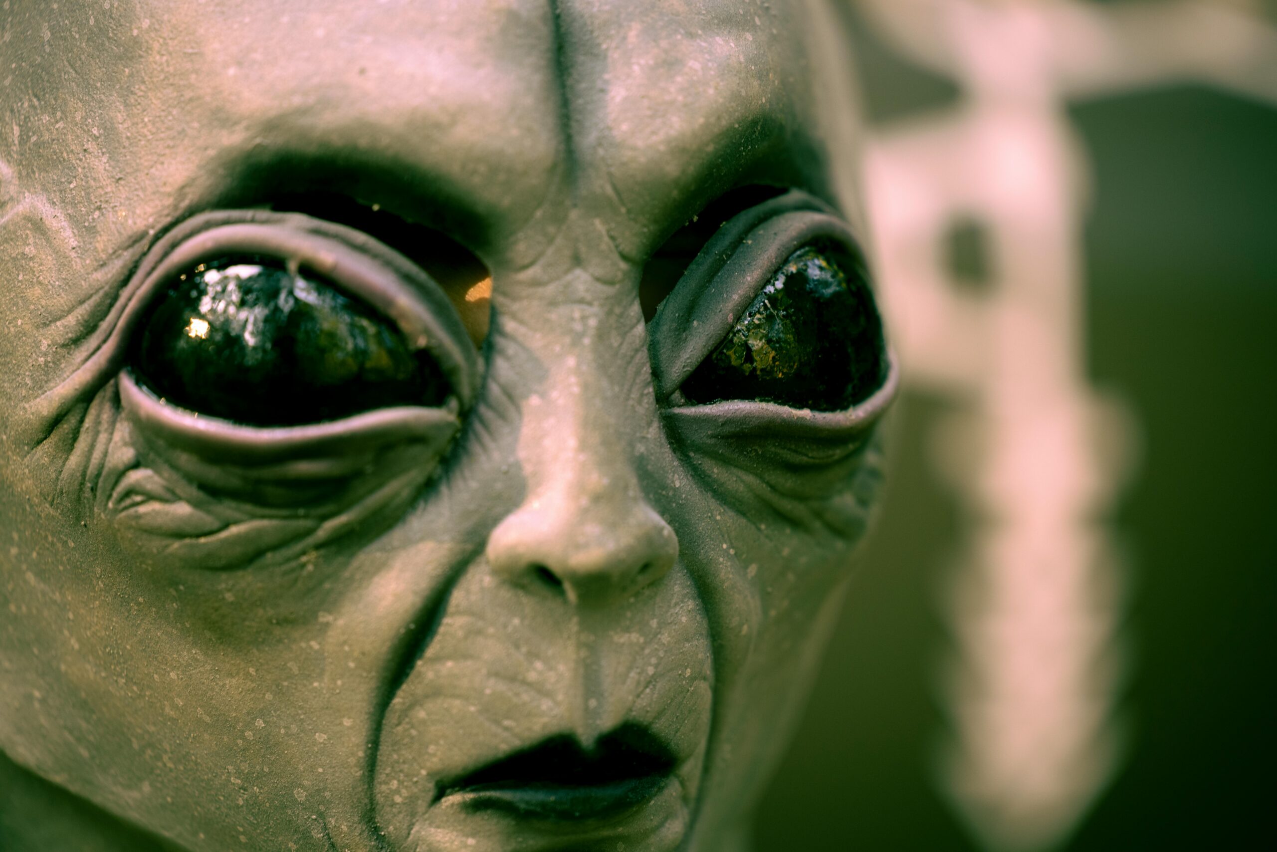 To Our New Alien Friends – Let Me Introduce You to Life in America